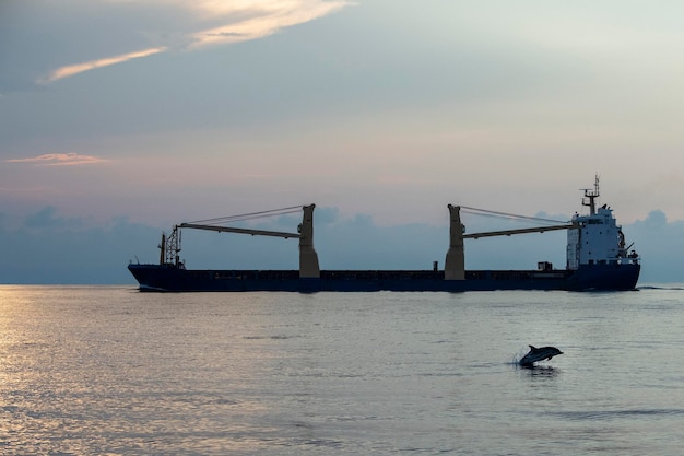 Delfín rayado saltando al atardecer frente al buque cisterna