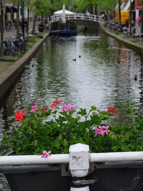 Delft in den Niederlanden