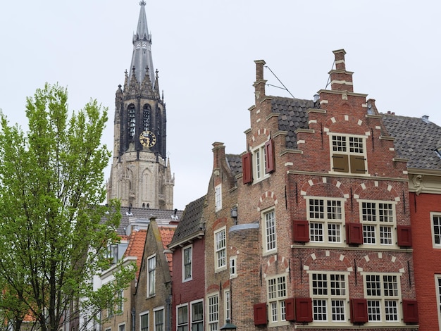 Foto delft, na holanda