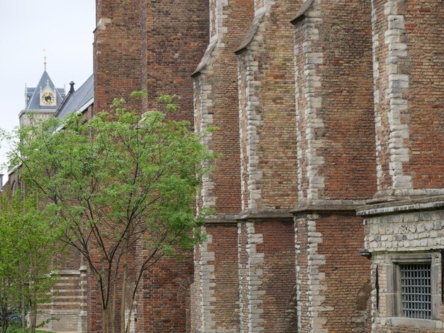 Foto delft, países baixos