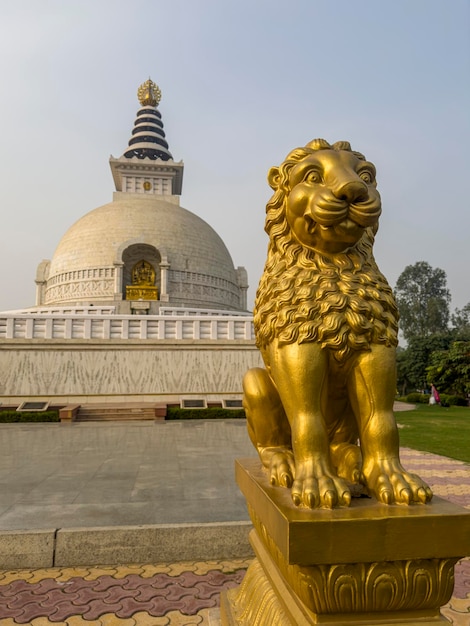 Delhi Índia 26 de setembro de 2022 tigre e vista do Vishwa Shanti Stupa conhecido como World Peace Pagoda Indraprastha Park em Nova Delhi