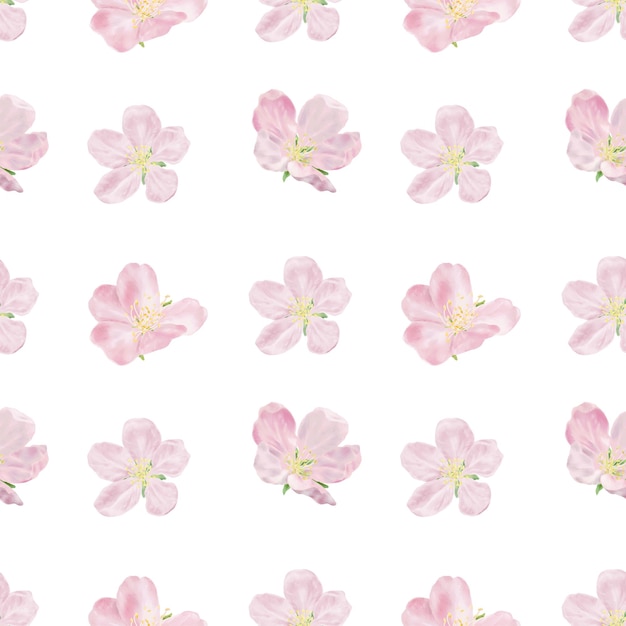 Delicada flor rosada pétalos blancos y estambres amarillos patrón sin costuras acuarela ilustración digital sakura japonesa y ramas de cerezas en flor y manzanos aislados sobre fondo blanco
