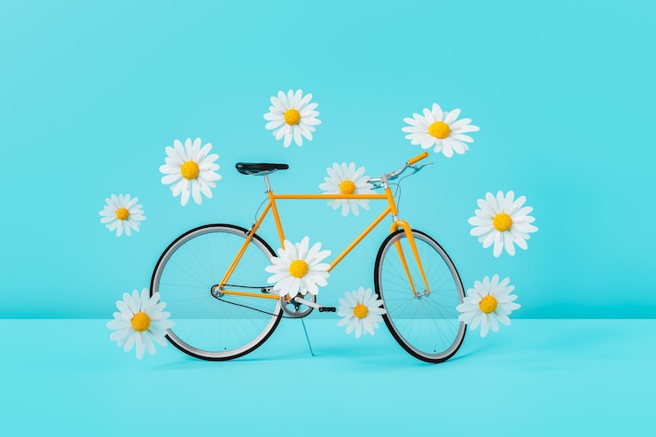 Delicadas flores de margarita y bicicleta moderna en estudio azul