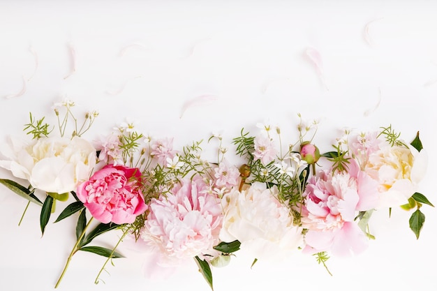 Delicadas flores de peonías blancas closeup Fragantes pétalos de rosa