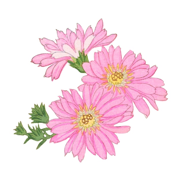 Las delicadas flores rosadas