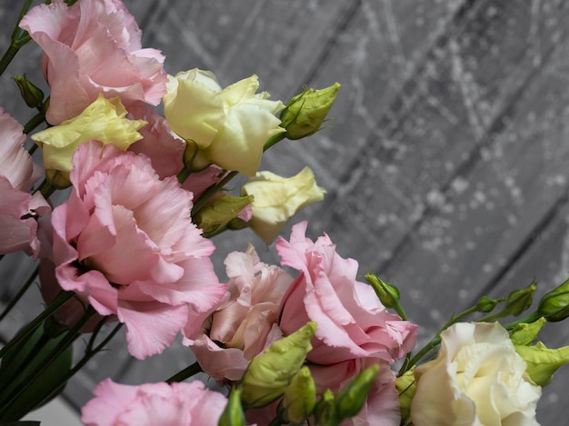 Delicadas flores rosas de la planta eustoma o lisianthus sobre un fondo gris claro