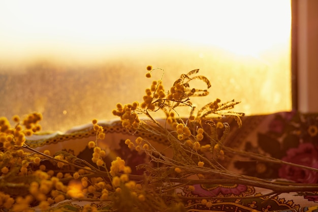 Delicado cartão de Páscoa amarelo ovos dourados flor de mimosa na luz da noite