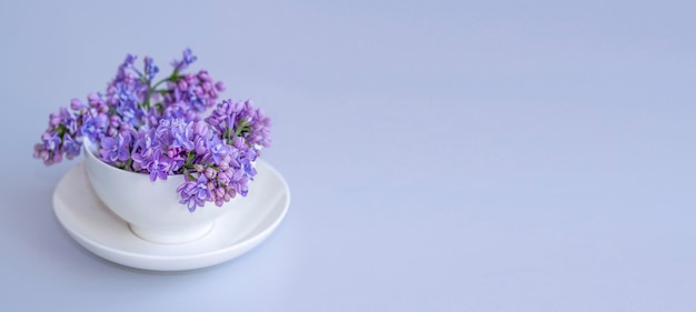 Un delicado fondo de lilas en un banner de fondo de taza