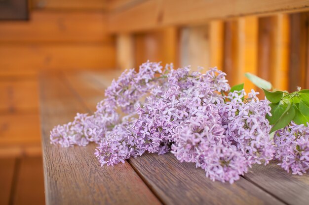 Delicados arbustos de lilases com flores frescas no parque em um dia ensolarado de primavera