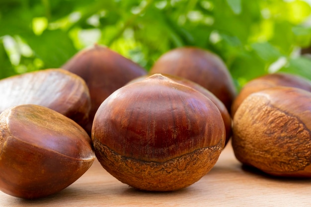 Delicias de otoño, castañas delante de un fondo blanco