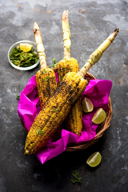 Deliciosa espiga de milho de rua indiana também chamada de Bhutta, aromatizada com pimenta picante, manteiga etc. Foco seletivo