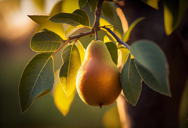 Deliciosa pera madura colgando en el árbol con la hora dorada del atardecer Generada por IA