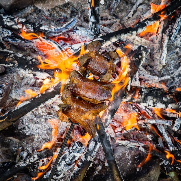 Deliciosa salsicha grelhada na fogueira Acampamento na natureza Atividade ao ar livre