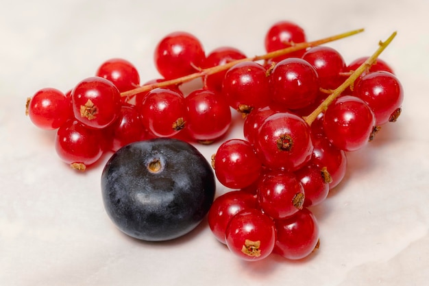 Deliciosas bayas: pincel de grosella roja y bluberries sobre fondo gris