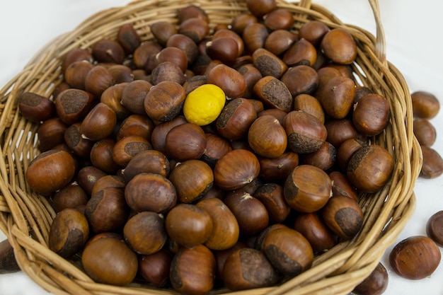 Foto deliciosas castanhas amarelas da natureza