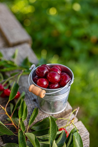 Deliciosas cerezas ácidas