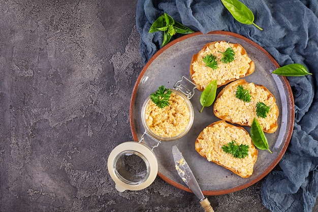 Deliciosas tostadas con rillettes de pollo caseros. Bocadillo de sándwich con paté de pollo sobre fondo de madera. Vista superior