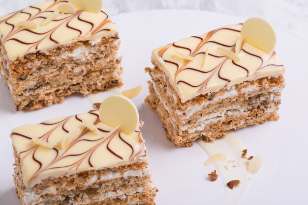 Delicioso bolo de chocolate em um prato branco