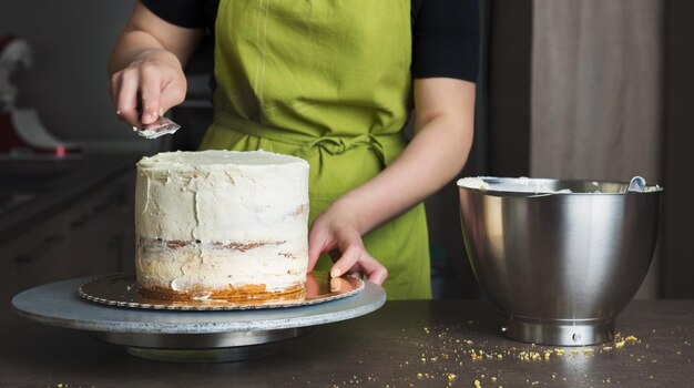 Delicioso bolo de esponja em camadas com sorvete e framboesas