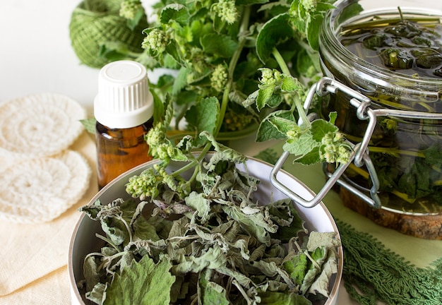 Delicioso caldo de té, menta, bálsamo de limón, agua floral