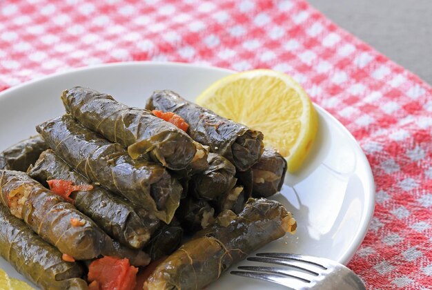 Delicioso dolma sarma rellenado con hojas de uva, arroz, salsa de yogur blanco, dolma Sarma libanesa en el plato, cocina turca, griega, de Oriente Medio, nombre turco: Yaprak Sarma.