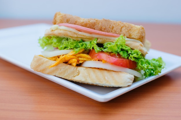 delicioso y espectacular sandwich para compartir en familia y amigos