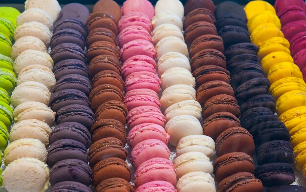 Delicioso macarrón de galletas francesas