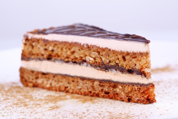 Delicioso pastel de chocolate en un plato en primer plano de la mesa