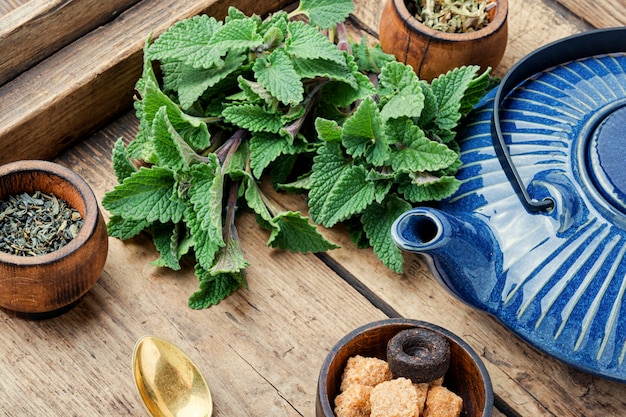 Delicioso té de hierbas elaborado con hojas de melisa