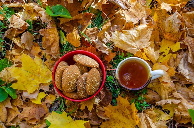 Deliciosos biscoitos de aveia estão no prato. Piquenique de outono na floresta.