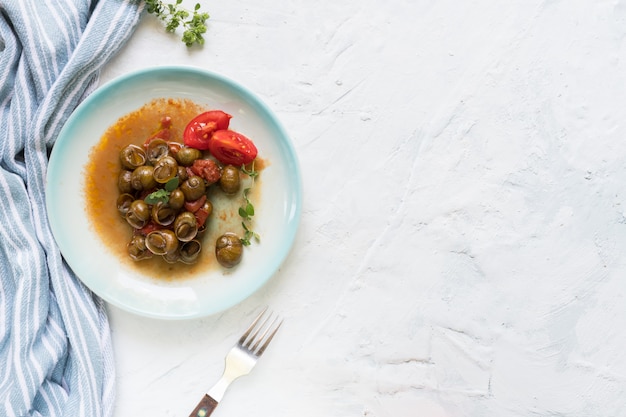 Deliciosos caracoles de Apulia llamados munaceddi con salsa de tomate, orégano en una mesa de luz, primer plano y copia espacio, comida de Salento.