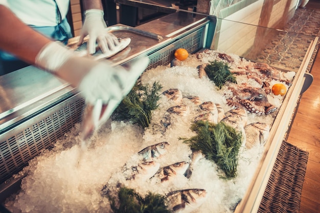 Deliciosos frutos do mar frescos no gelo com ervas e limões e mãos humanas