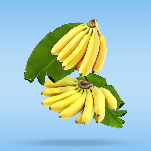 Deliciosos frutos maduros de plátano y hojas cayendo sobre fondo azul claro