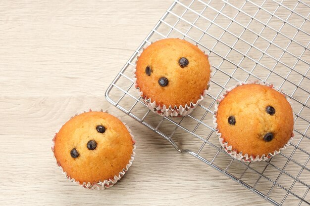 Deliciosos muffins de vainilla con chips de chocolate