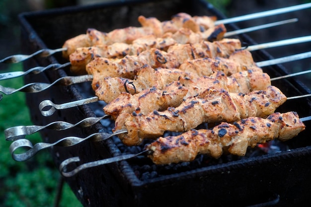 Deliciosos pinchos de carne en brasero durante el picnic