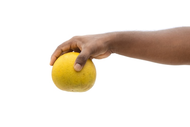 Deliciosos pomelos maduros segurando com a mão isolada no fundo branco