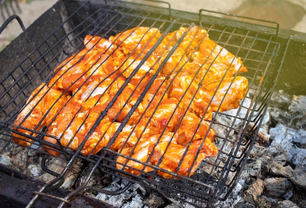 Deliciosos trozos de carne de pollo a la parrilla Barbacoa y parrilla