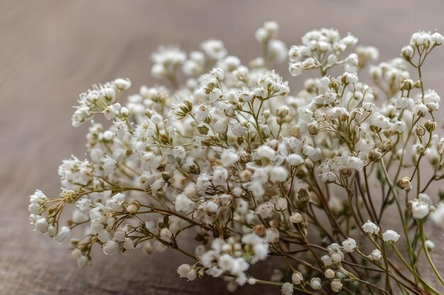 Delikate weiße Babys atmen Blumen