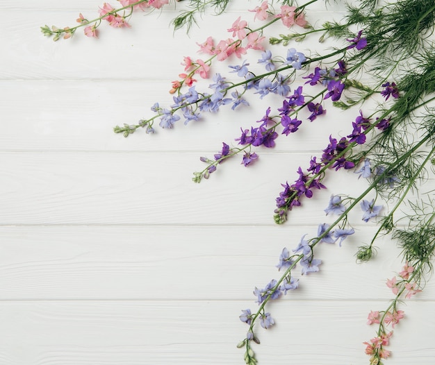 Delphinium flores en pizarra