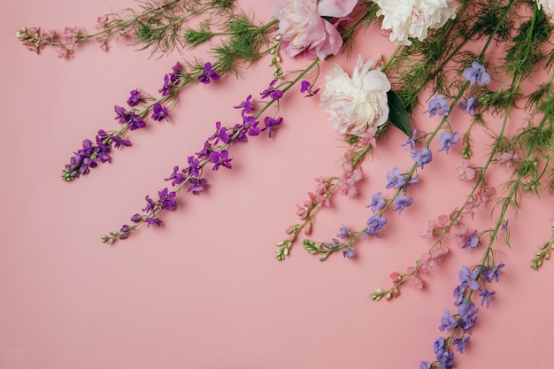 Delphinium flores en rosa