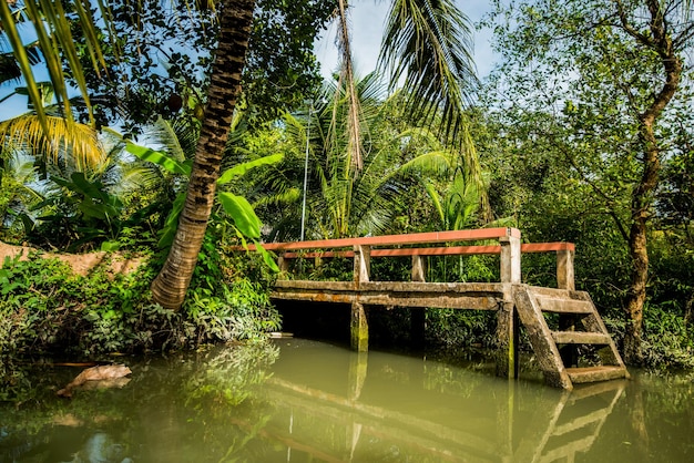 Delta mekong e canais locais