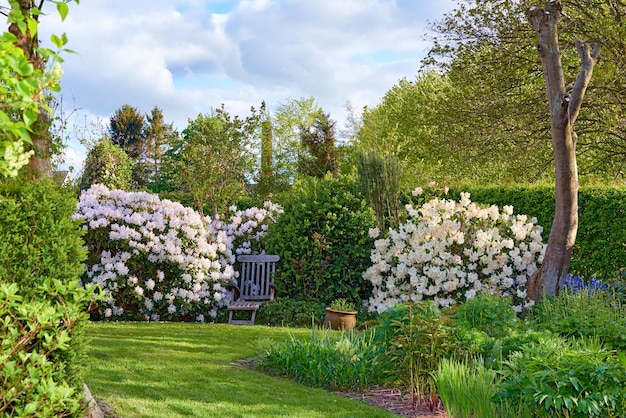 Dem Frühling ein wenig Farbe verleihen Zugeschnittene Aufnahme von wunderschönen Blumen