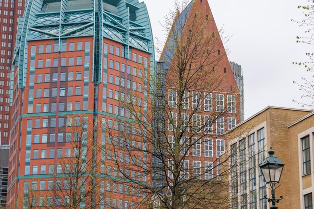 Foto den haag, na holanda