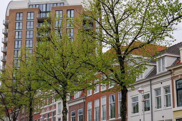 Foto den haag en los países bajos