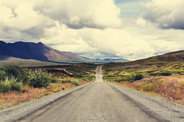 Denali-Highway