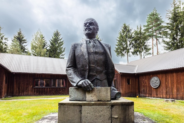 Denkmal des russischen Revolutionsführers Wladimir Lenin. Druskininkai, Litauen