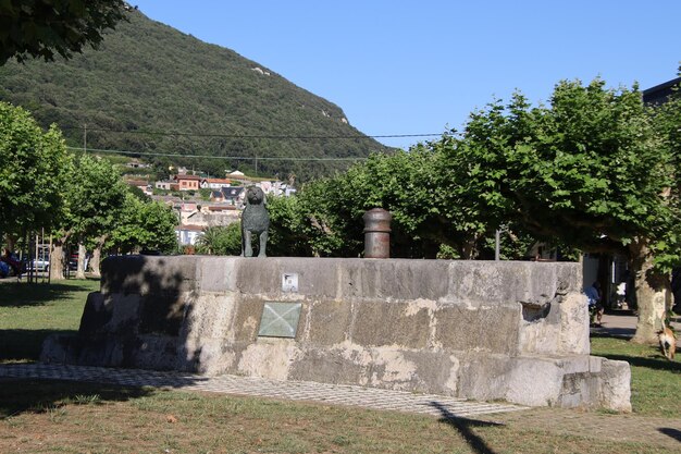 Foto denkmal für den spanischen wasserhund santoa