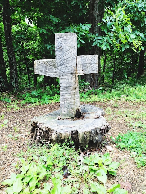 Foto denkmal im wald