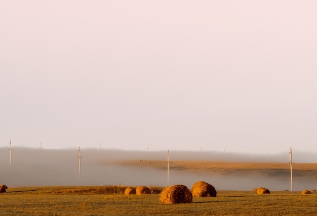 La densa niebla envuelve el idílico paisaje