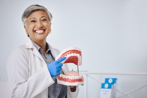 Foto dentaduras de dentista e retrato de mulher sênior para atendimento médico e odontológico em clínica saúde feliz e trabalhadora apontam molde para boca para limpeza de dentes de saúde bucal e cavidade